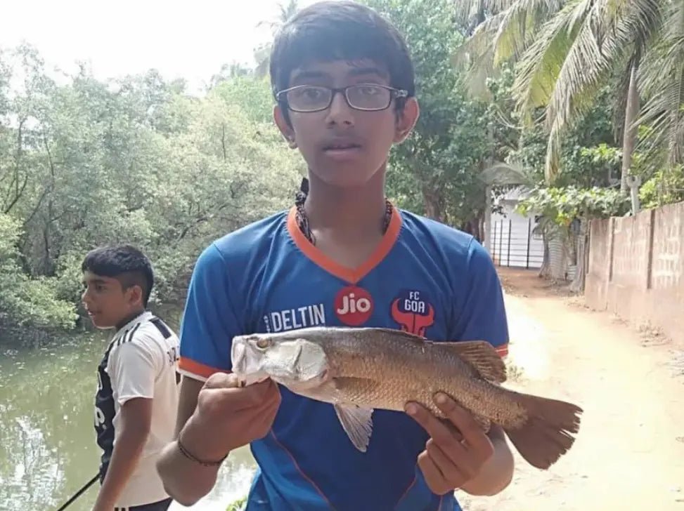 Best Lures For Barramundi Fishing in India - Fishermanshub