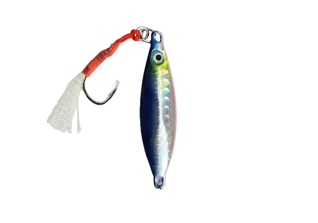Murrvy Flutter Metal Jig | Slow Sinking | 30 Gm | 50 Gm | - Fishermanshub30 GmBlue Pink (Holographic)