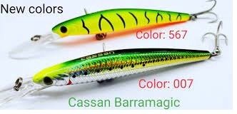 Cassan Barramagic Hard Bait Lures | 12 Cm | 21 Gm | Suspending | - fishermanshubCSL142