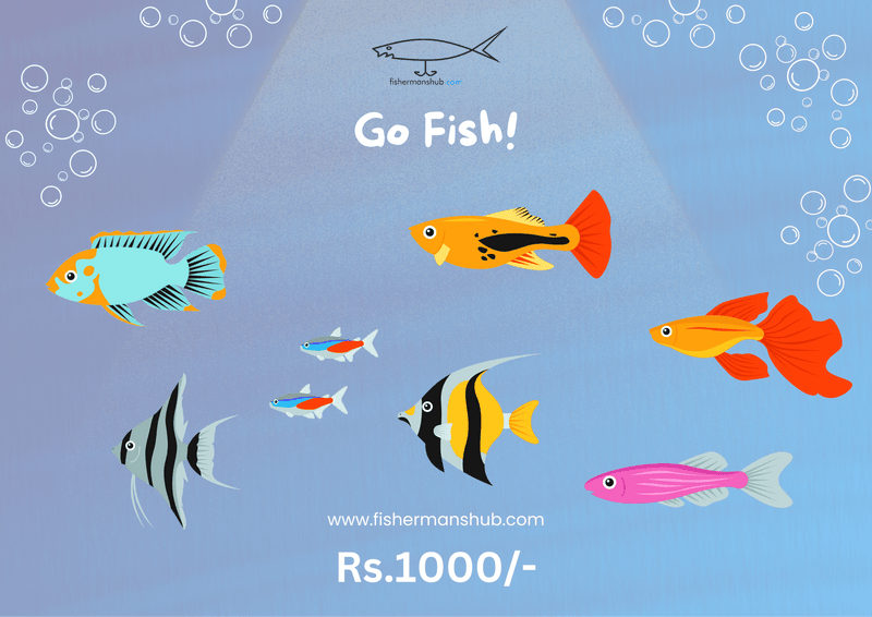 Fishermanshub Anglers Gift Card - Rs. 100 to Rs.10,000/- - fishermanshub₹1,000.00