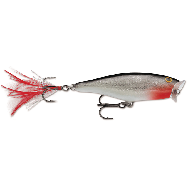 Rapala Skitter Pop Topwater Hard Lure | Popper | 9 Cm | 14 Gm | - fishermanshub9 CmSilver