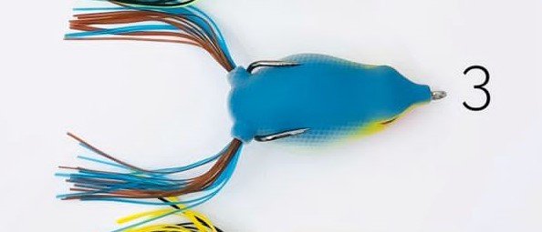 Lures Under Rs 600: Affordable Picks for Your Fishing Tackle