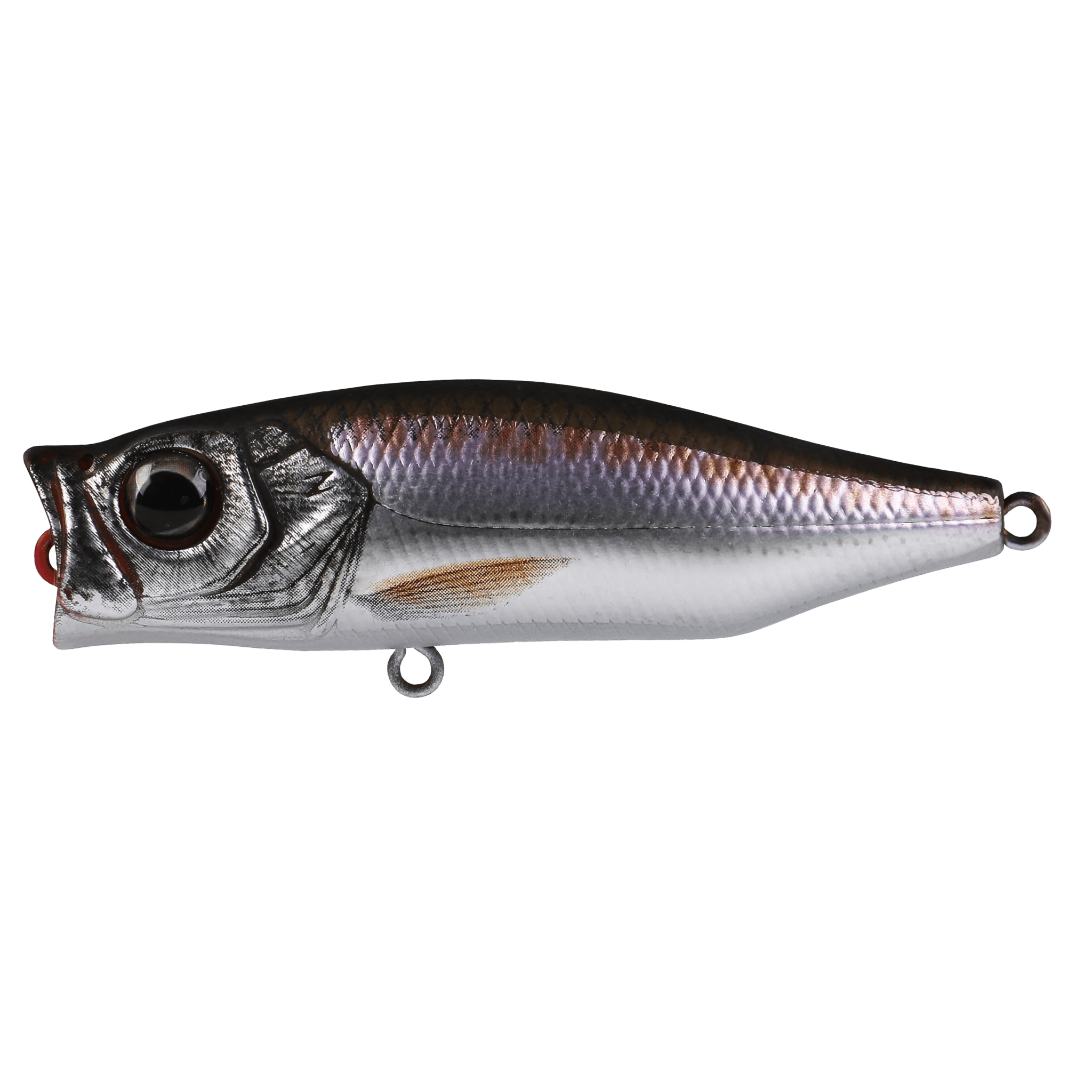 Zerek Gobble Hardbait Topwater Popper Lure | 7 Cm | 12 Gm | Floating | Popper - fishermanshub7 CmAnchovy