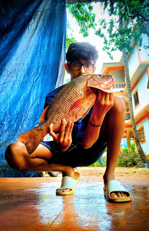 Angler Robert Ryan Dsouza - Goa - Fishermanshub