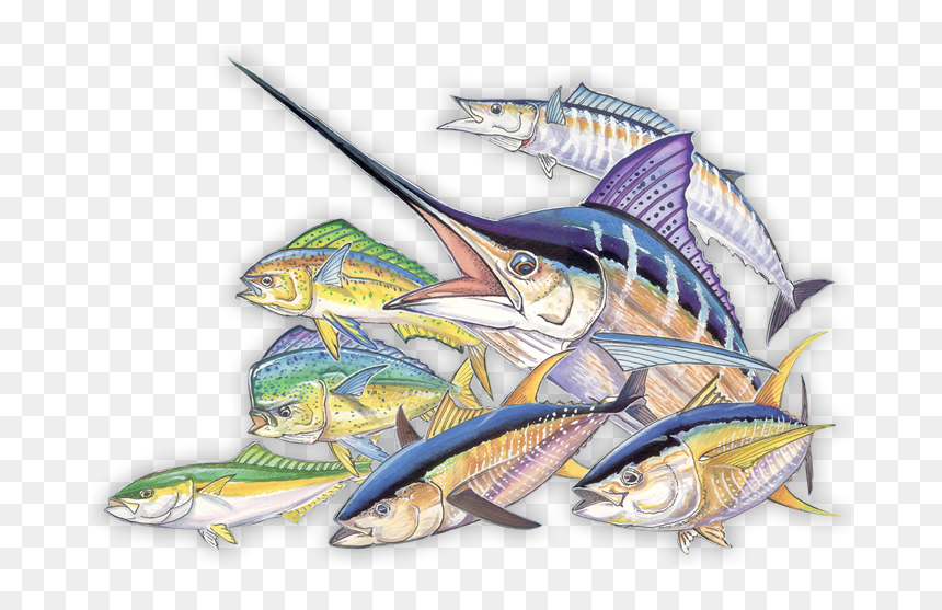 fishing