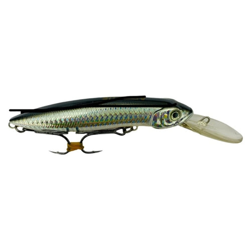 All Blue Explorer 12F Hard Bait Lure | Floating | Trolling | 12 Cm | 26 Gm | - FishermanshubSilver