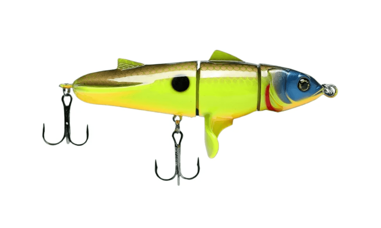 Benthic Fish Bone Series Plop Plop Monster Top Water Hard Lure | Floating | 12 Cm | 28 Gm | - FishermanshubBarca