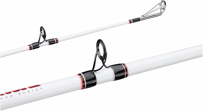 Berkley Big Game Spinning Rod guides