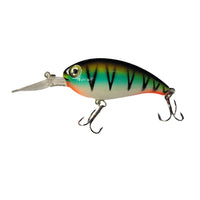 Sea Rock Crank Bait Fishing Hard Lure | Floating | 10 Cm | 13.6 Gm | - FishermanshubPerch