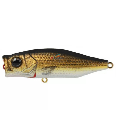 Zerek Gobble Hardbait Topwater Popper Lure | 7 Cm | 12 Gm | Floating | Popper - FishermanshubGolden Mullet