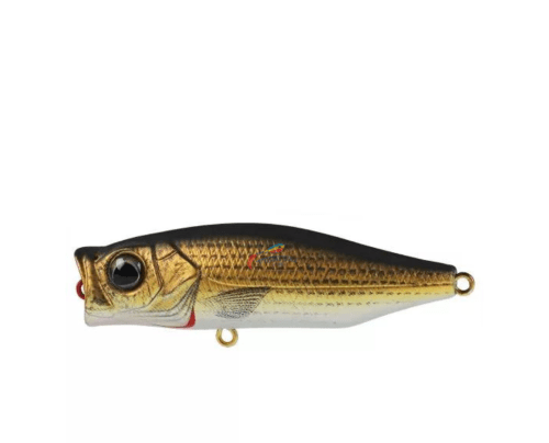 Zerek Gobble Hardbait Topwater Popper Lure | 7 Cm | 12 Gm | Floating | Popper - FishermanshubGolden Mullet