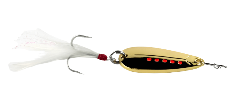 GT - BIO Bettle Metal Bait Fishing Spoon | Gold | 15 Gm | - Fishermanshub15Gm