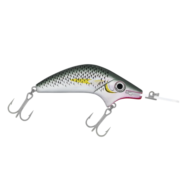 Halco Poltergeist Hard Lure | 11 Cm | 28 Gm | Floating | Trolling | - Fishermanshub11 CmMullet R25