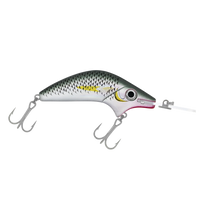 Halco Poltergeist Hard Lure | 11 Cm | 28 Gm | Floating | Trolling | - Fishermanshub11 CmMullet R25
