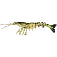 Jhinga Shrimp Soft Lure | 10 Cm | 7 Gm | 5 Pcs Per Pack | - FishermanshubGREEN LEOPARD