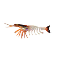 Jhinga Shrimp Soft Plastic Lure | 10 Cm | 7 Gm | 5 Pcs Per Pack | - FishermanshubTrans Brown