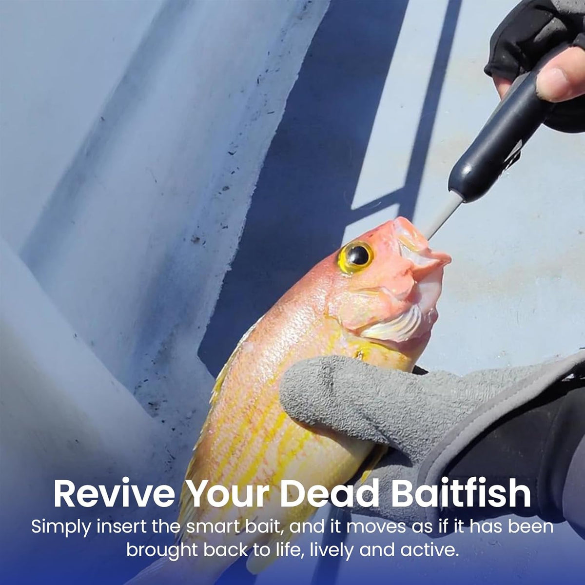 Kanama Smart Bait Mini Live Bait Fish Simulator | Sonic Fish Attractor | Electric Fishing Gear | Rechargeable | - FishermanshubMini