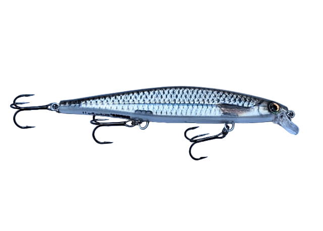 Rapala Shadow Rap Hard Lure | 11 Cm | 13 Gm | Slow Sinking | Jerkbait | - FishermanshubLive Roach