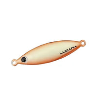 Lucana Blanco Jig | Slow Sinking | 30 Gm | 40 Gm | - Fishermanshub30 GmE (UV)