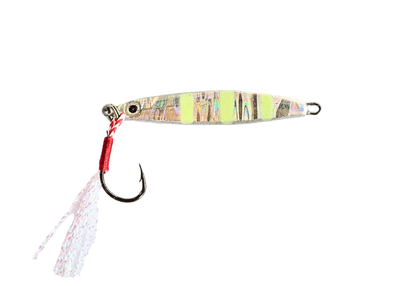 Lucana Mini Jig | Fast Sinking | 5 Gm | 7 Gm | 10 Gm | - Fishermanshub5 GmNight By Day (UV)