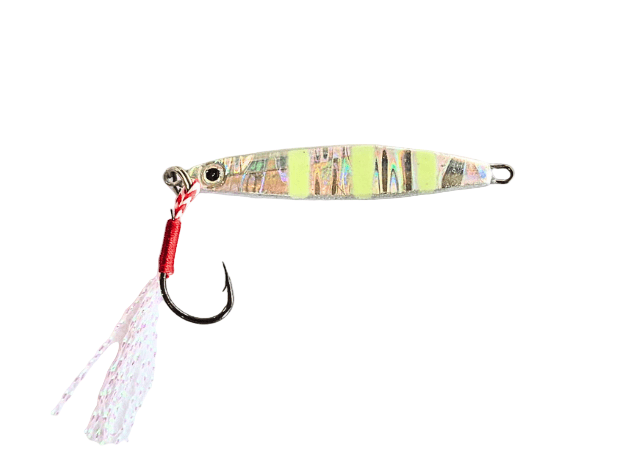 Lucana Mini Jig | Fast Sinking | 5 Gm | 7 Gm | 10 Gm | - Fishermanshub5 GmNight By Day (UV)