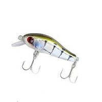 Lucana Stream 35SS Hard Lure | Slow Sinking | 3.5Cm | 2.2Gm | - FishermanshubBaby Dragon