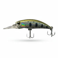 Lucana Glitter 50S Hard Lure | Sinking | 5 Cm | 4.8 Gm | - FishermanshubGold