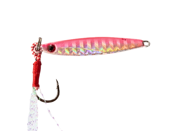 Lucana Mini Jig | Fast Sinking | 5 Gm | 7 Gm | 10 Gm | - Fishermanshub5 GmPink