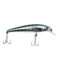 Cassan Enticer Hard Plastic Lures | Shallow Diving | Suspending | 12 Cm | 22 Gm | - FishermanshubM 146