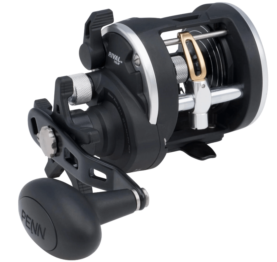 Penn Rival Level Wind Baitcasting Reel | Right - Handed | RIV - 15 - LW | RIV - 20 - LW | - FishermanshubRIV15LW