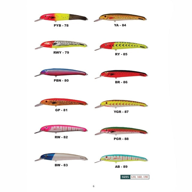 Pushpa Paint Laser Pro - 6