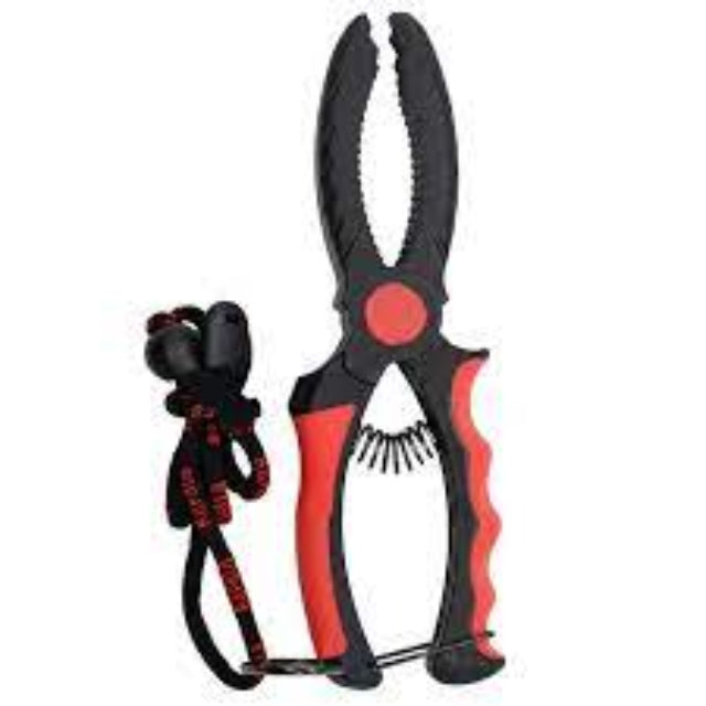 Rapala Professional Plastic Fish-Holder - fishermanshub