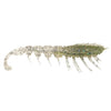 Ghost Shrimp