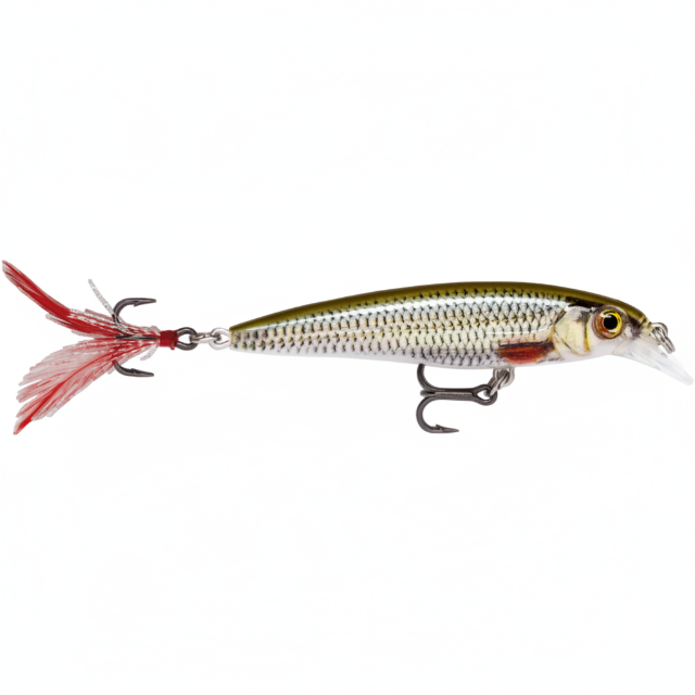 Rapala XRap Xtreme Action Slashbait Hard Lures | Suspending | 4 Cm | 2 Gm | - FishermanshubLive Roach