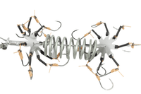 Spider Fishing Hook With Feeder | 16 Hooks | Set Of 2 Rigs | - Fishermanshub#10