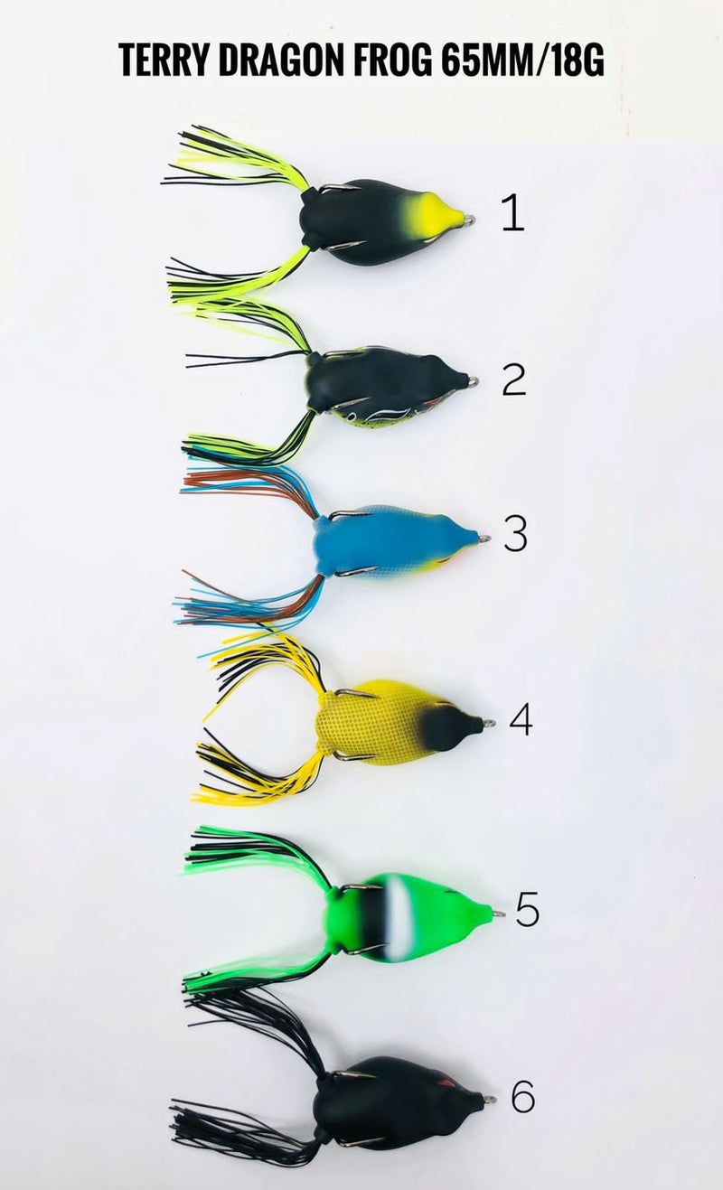 Terry Dragon Frog Topwater Lure 