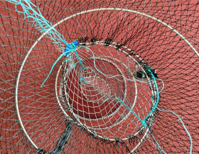 Bait Fish & Crab Trap | Long | - fishermanshub25X45CM