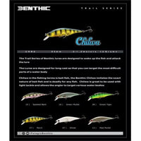 Benthic Chilwa Minnow Hard lure | 9.5 Cm | 12 Gm | Floating - fishermanshub9.5 CmSpotted Barb