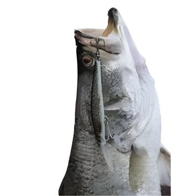 Cassan Barramagic Hard Bait Lures | 12 Cm | 21 Gm | Suspending | - fishermanshubFIRETIGER 567