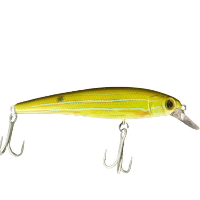 Cassan Enticer Hard Plastic Lures | 12 Cm | 22 Gm | Suspending - fishermanshub12 CmLP145