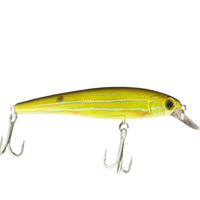 Cassan Enticer Hard Plastic Lures | 12 Cm | 22 Gm | Suspending - fishermanshub12 CmLP145
