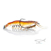 Native Prawn