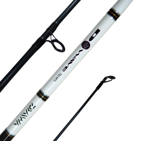 Unleash Your Fishing Potential with Daiwa Fishing Rods and reels