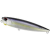 Threadfin Shad