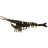 Gfin Crazy Shrimp Soft Plastic Baits | 5 Inch - fishermanshub5 InchTIGER