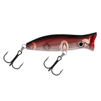 Halco Roosta Popper Hard Bait Topwater Lures | 6 Cm , 7 Gm | 8 Cm , 16 Gm | Floating - fishermanshub6 CmHot Blooded #R45