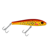 CORAL TROUT