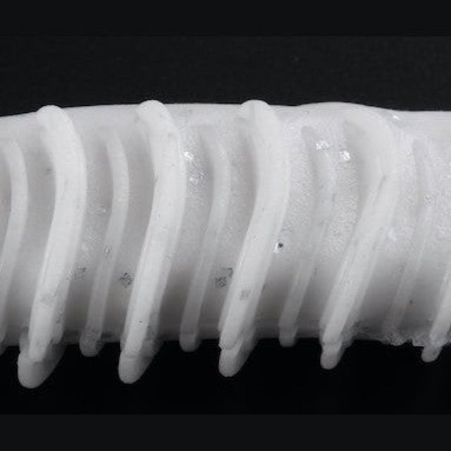 Jackall Bounty Soft Lure | 5.5 inch | 4 Pcs per Pack | - fishermanshub5.5 InchWhite Shad