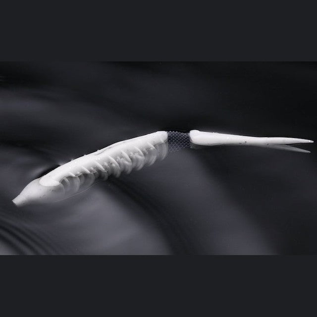 Jackall Bounty Soft Lure | 5.5 inch | 4 Pcs per Pack | - fishermanshub5.5 InchWhite Shad