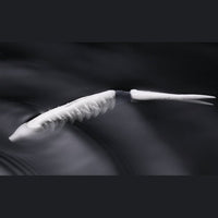 Jackall Bounty Soft Lure | 5.5 inch | 4 Pcs per Pack | - fishermanshub5.5 InchWhite Shad